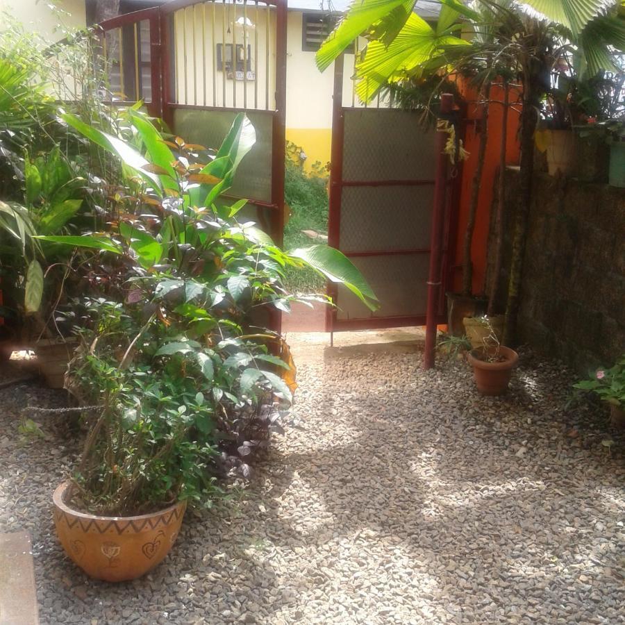 Hôtel Baby House à Varkala Extérieur photo